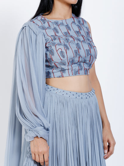 Embroidered crop top with separate skirt